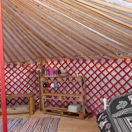 Alder Yurt Wych Elm Glamping Hotel Helston Eksteriør billede