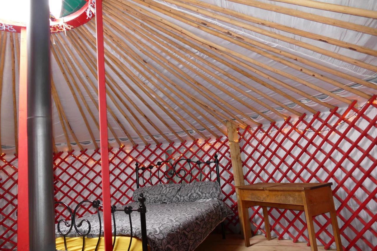 Alder Yurt Wych Elm Glamping Hotel Helston Eksteriør billede